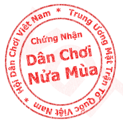 Dan choi nua mua